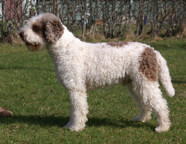 gunnar09-04-1.jpg