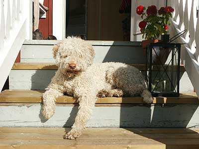 theofild06.jpg